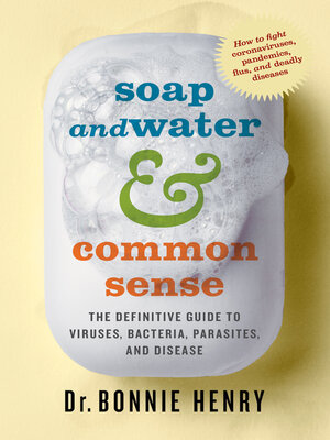 cover image of Soap and Water & Common Sense